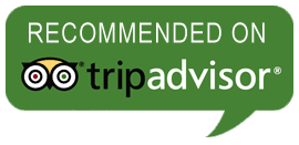 Tours to Jordan tour driver